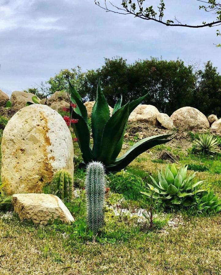 L'Incanto Di Nausicaa Ascea Εξωτερικό φωτογραφία