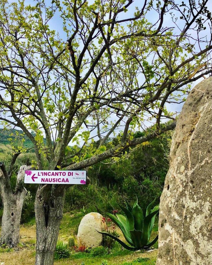 L'Incanto Di Nausicaa Ascea Εξωτερικό φωτογραφία